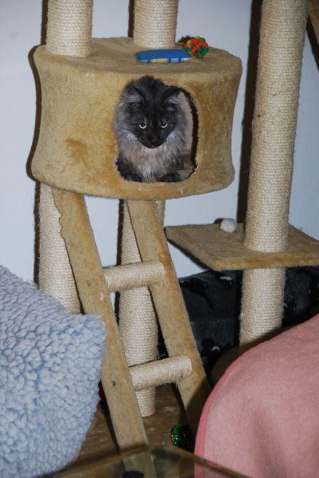 Bild