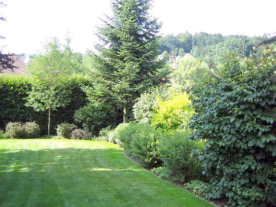 Große freiwachsende Hecke Input gesucht! Mein schöner