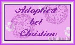 adoptiert