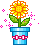 :blume5::