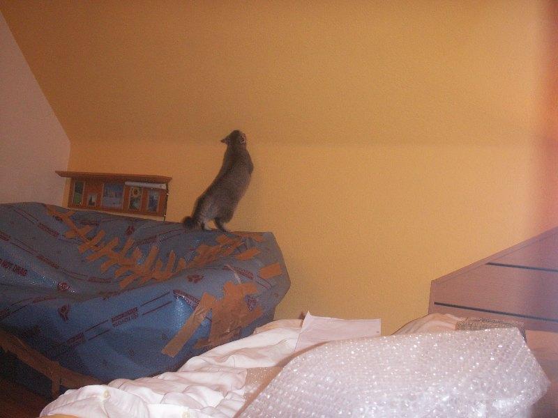bsf08fqyumj92l9ml.jpg
