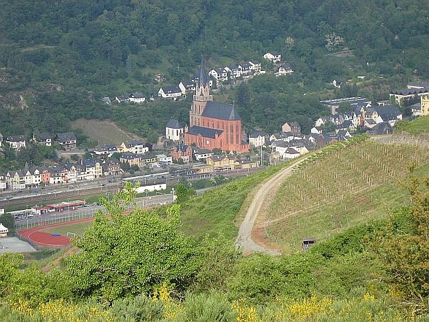 Bild