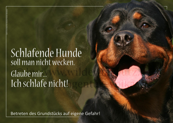 [Bild: btighemetw3z59agu.jpg]