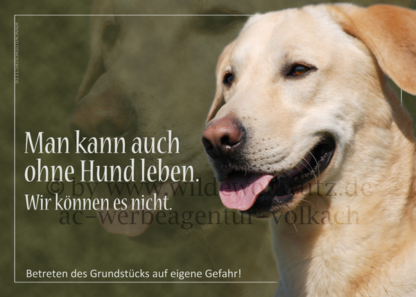 [Bild: btighwh77hm80lxry.jpg]