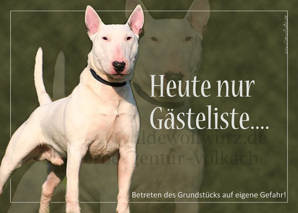 [Bild: btigisadx5dtp008u.jpg]