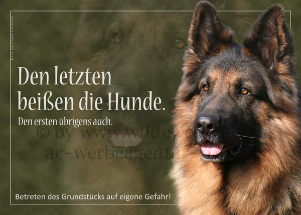 [Bild: btigsxdoqstz7m3i6.jpg]