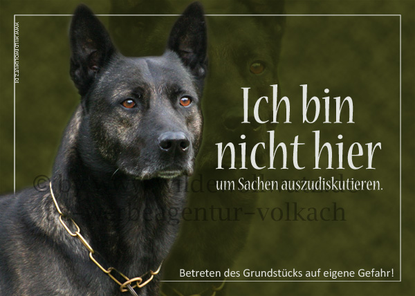 [Bild: btiksbztjqs73kpq6.jpg]