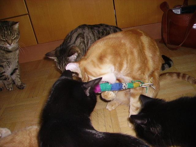 btq6eg4odx9vvmi61.jpg