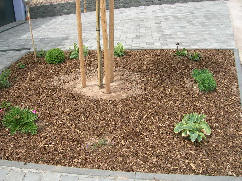 Kiesgarten Anlegen Und Gestalten Mein Schöner Garten Mein Schoner ... Kiesgarten Anlegen Und Gestalten Mein Schöner Garten Mein Schoner ...