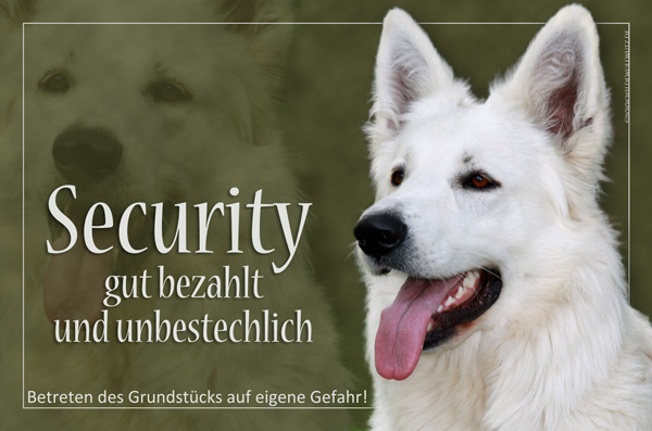[Bild: bu9j7lurhu8i7ojbp.jpg]