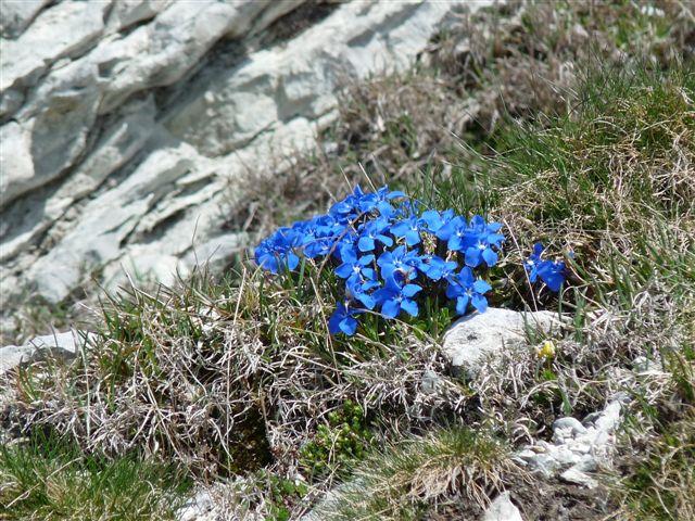 Bild