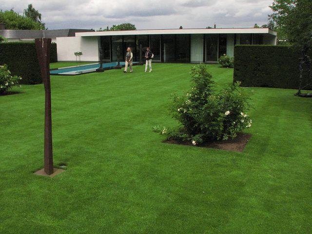 Gartentagebuch im Juni Teil 2 - Page 3 - Mein schöner Garten Forum