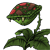 http://666kb.com/i/bv1ade3frmvmp2lyp.png