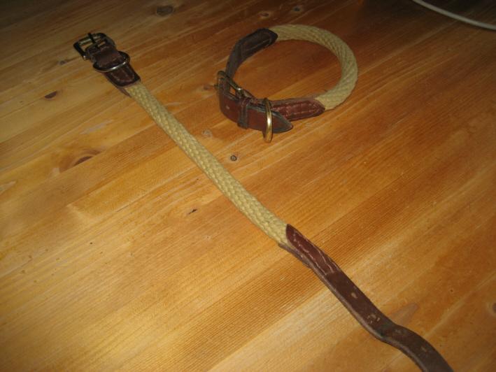 bv76amgut1p2p0fnr.jpg