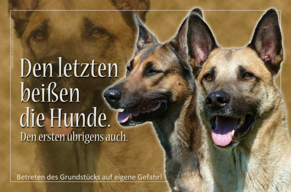 [Bild: bvjcycyqn10n5k7le.jpg]