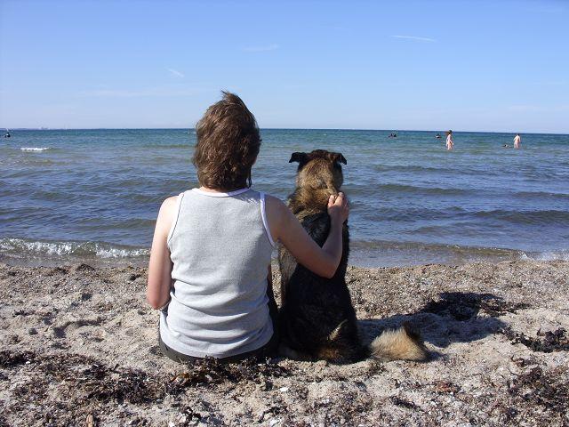 [Bild: bvs6to9wlm7b3bsm6.jpg]