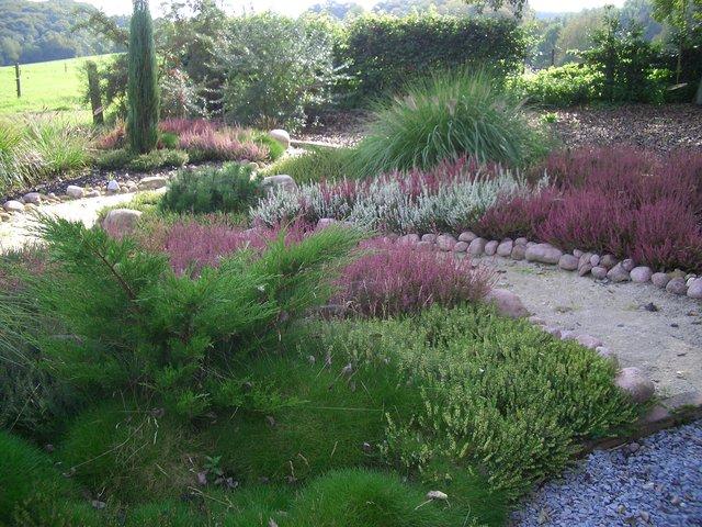 ich hät so gern ´nen Heidegarten.. Mein schöner Garten Forum