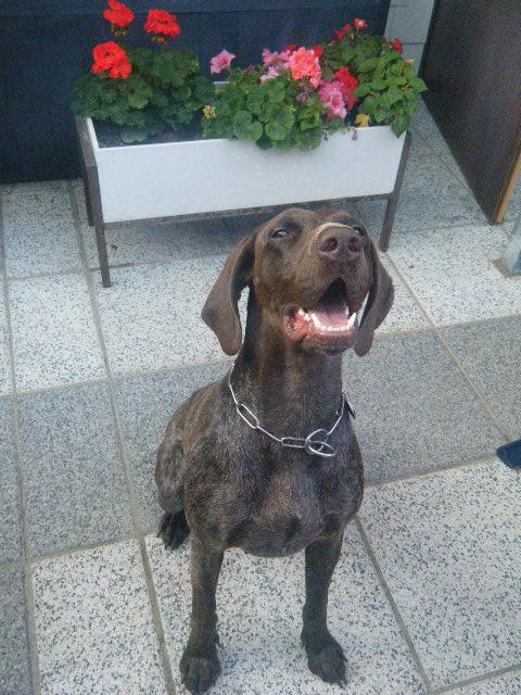 Bild