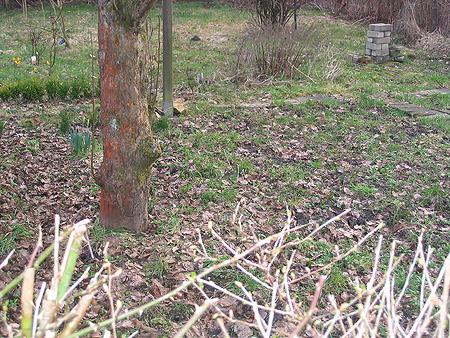 Verkommener Garten vorher / nacher Bilder - Mein schöner Garten Forum