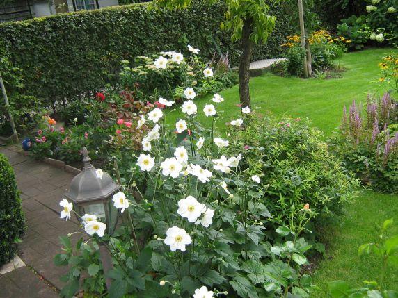 Gartentagebuch im August, Teil 2 - Page 7 - Mein schöner Garten Forum