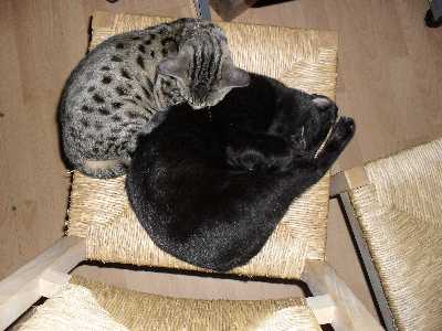 bwuv39222lzb86yn5.jpg