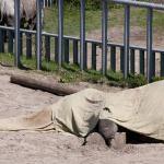Dierentuin gechanteerd