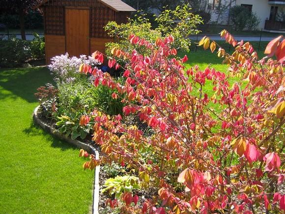 Die Farben Des Herbstes Mein Schoner Garten Forum