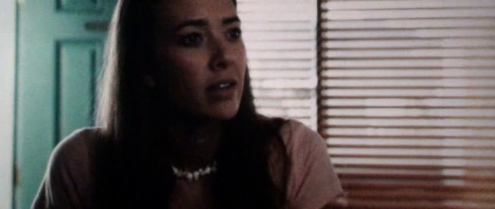 Dolphin Tale 2011 CAM XviD-playXD (TeK LiNK)