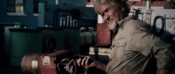 Dolphin Tale 2011 CAM XviD-playXD (TeK LiNK)