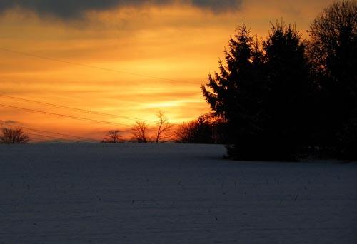 uta-naumann-photography
