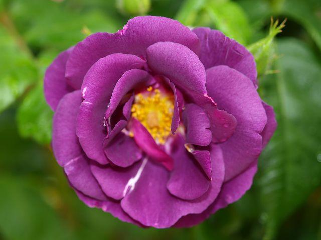 [Bild: byt8triu4jnx09gos.jpg]