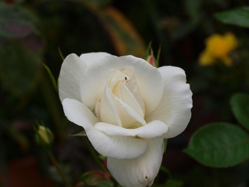 [Bild: byt90jgd5z2tou858.jpg]