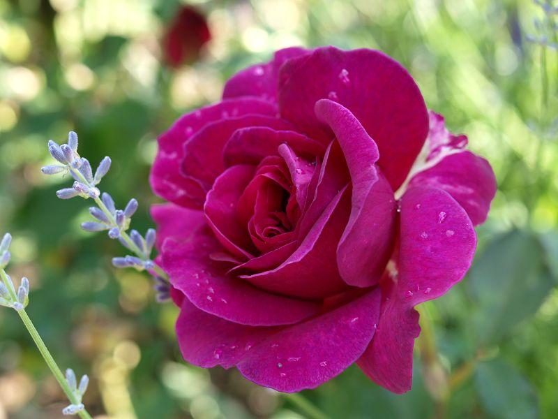 [Bild: byw9byjkwy99ebsp1.jpg]