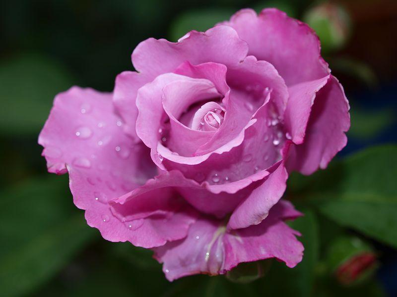 [Bild: byw9cwmvduf5obnk5.jpg]