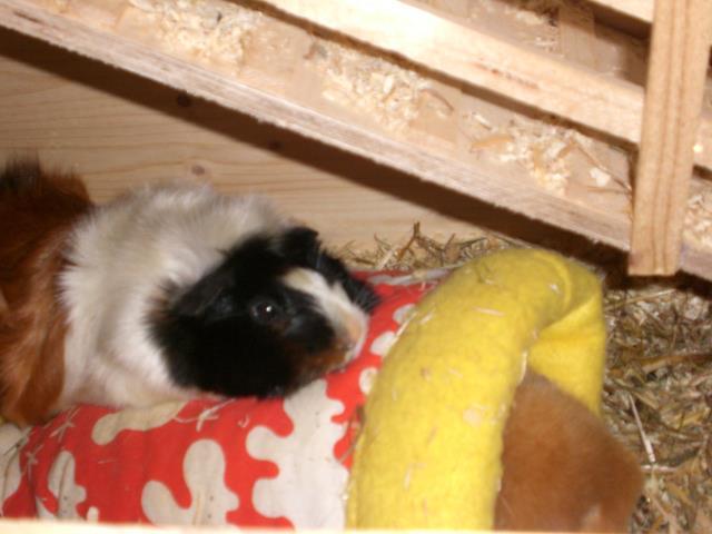 Bild