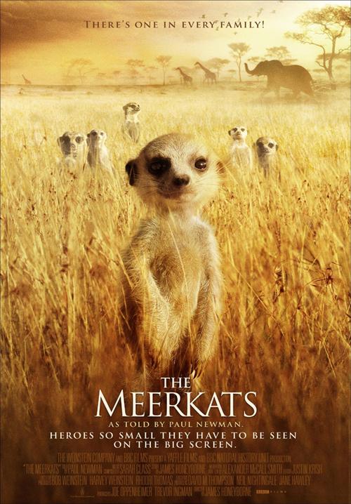 The Meerkats – Mirket Ailesi İzle