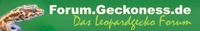 Geckoness - Das Leopardgeckoforum