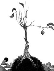 Illustration by Matt McCann