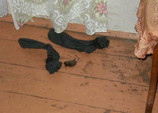 bzziut080wtv4c8eg.jpg