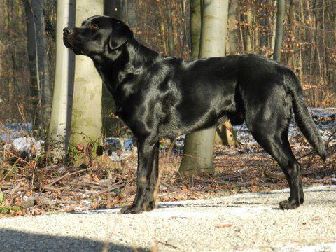 Bild