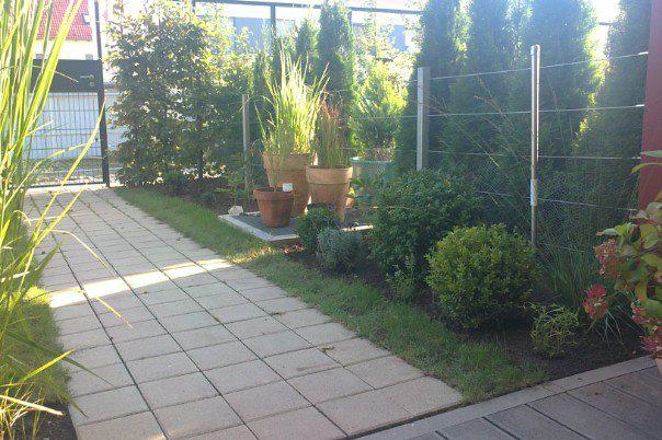 Gestaltung Minigarten - Mein schöner Garten Forum