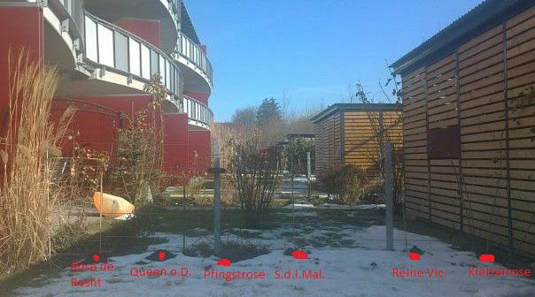 Gestaltung Minigarten - Mein schöner Garten Forum