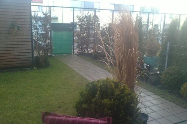 Gestaltung Minigarten - Page 2 - Mein schöner Garten Forum