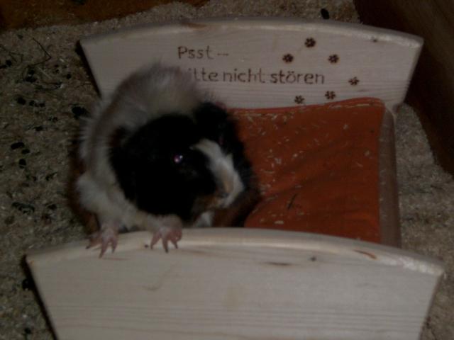 Bild