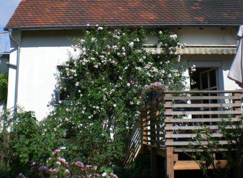 Terrasse im Hang - wie begradigen? - Mein schöner Garten Forum