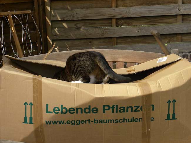 Bild