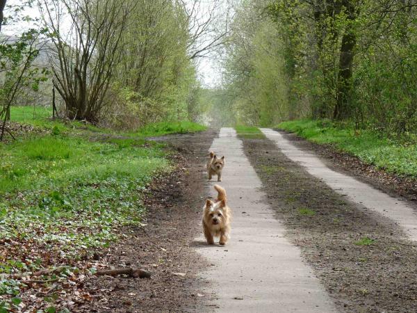 Eingefügtes Bild