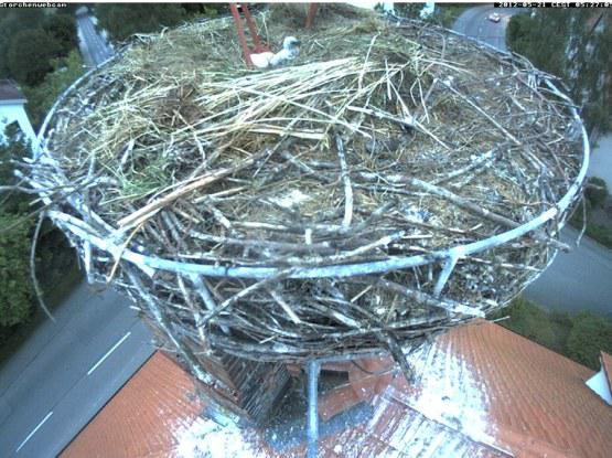 Bild