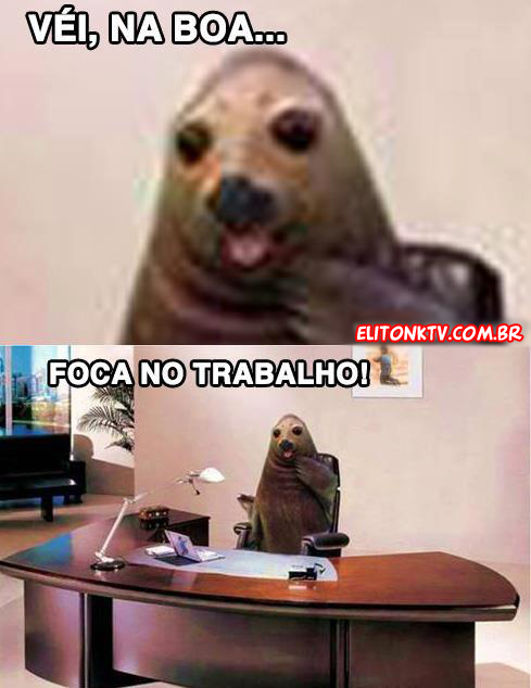 Foca no Trabalho by ElitonK