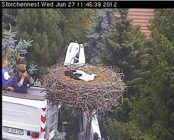 Bild